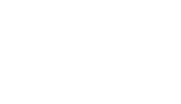 SSE Web Solutions